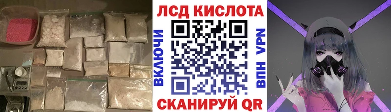 где найти наркотики  Болхов  Лсд 25 экстази ecstasy 
