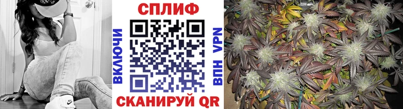 Бошки марихуана марихуана  где купить наркоту  МЕГА зеркало  Болхов 